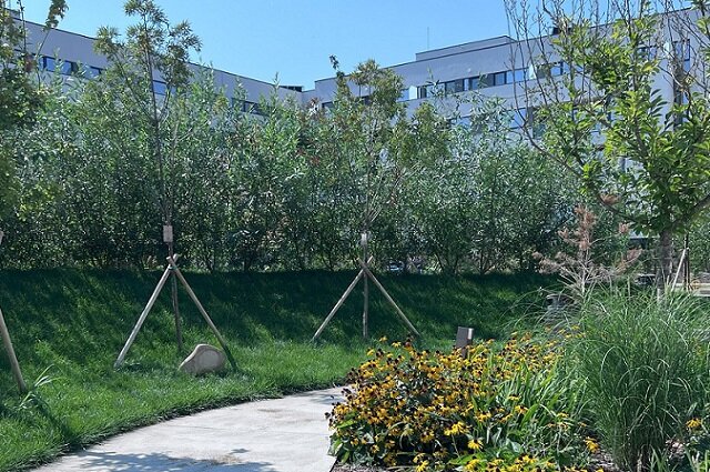 Sector 1 apartament 2 camere + gradina proprie - reper Mall Colosseum